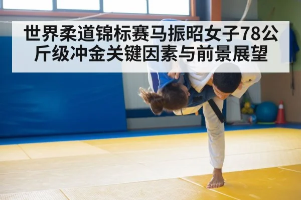 judo grappling mat